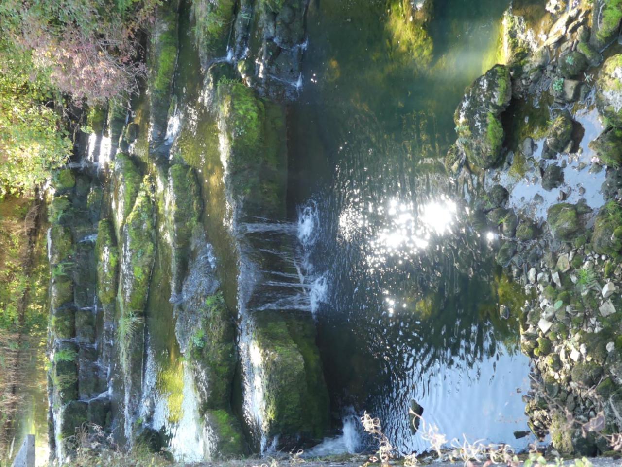 蓝色鳟鱼酒店 Fort-du-Plasne 外观 照片